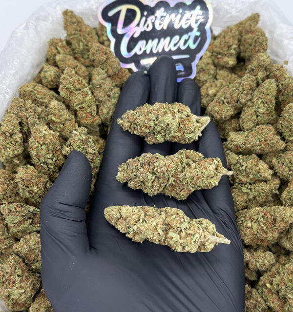 Durban Cookies-strain-district-connect-washington-dc-weed-delivery