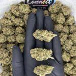 Lemon Warhead strain-district-connect-washington-dc-weed-delivery