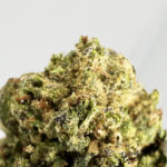 Lemon Warhead strain-district-connect-washington-dc-weed-delivery