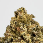 Oreo Cake-strain-district-connect-washington-dc-weed-delivery