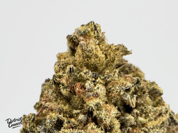 Oreo Cake-strain-district-connect-washington-dc-weed-delivery
