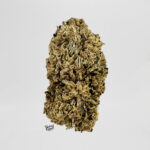 Oreo Cake-strain-district-connect-washington-dc-weed-delivery