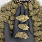 Purple Ice Cream strain-district-connect-washington-dc-weed-delivery