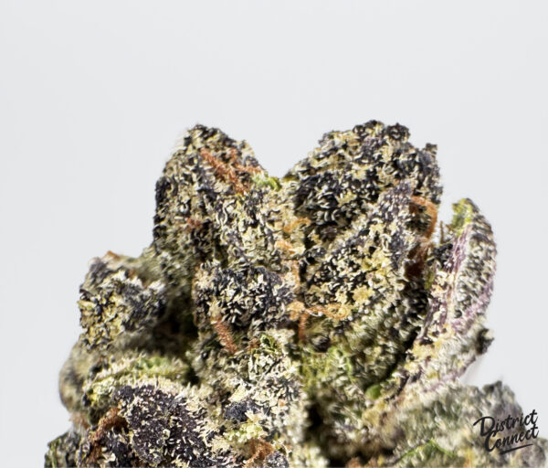 Purple Ice Cream strain-district-connect-washington-dc-weed-delivery