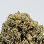 Sunset Rozay strain-district-connect-washington-dc-weed-delivery