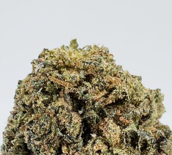 Sunset Rozay strain-district-connect-washington-dc-weed-delivery