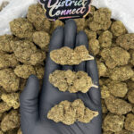 Sunset Rozay strain-district-connect-washington-dc-weed-delivery