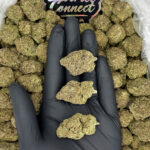 Zour Patch cookies-strain-district-connect-washington-dc-weed-delivery