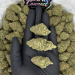 Zour Watermelon strain-district-connect-washington-dc-weed-delivery