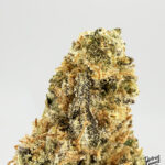 Lemon skunk strain-district-connect-washington-dc-weed-delivery
