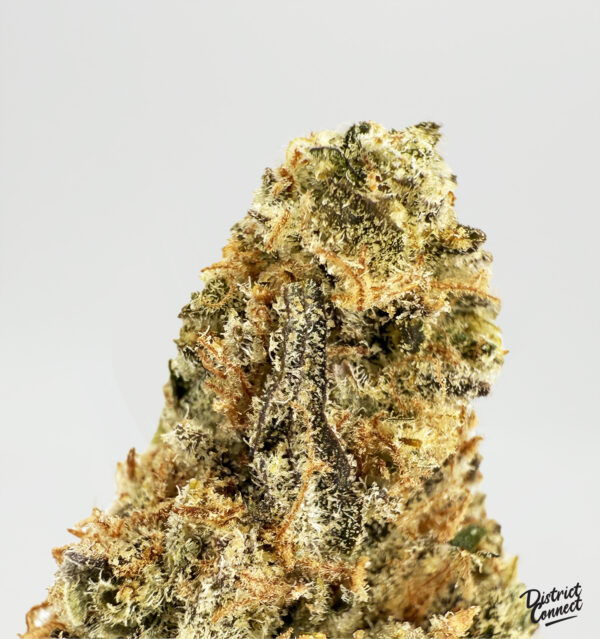 Lemon skunk strain-district-connect-washington-dc-weed-delivery