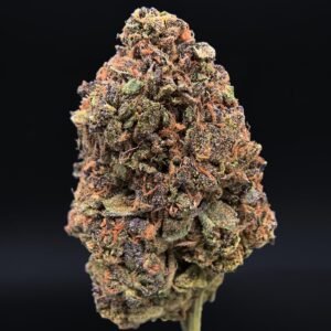 Gaslato strain-district-connect-washington-dc-weed-delivery