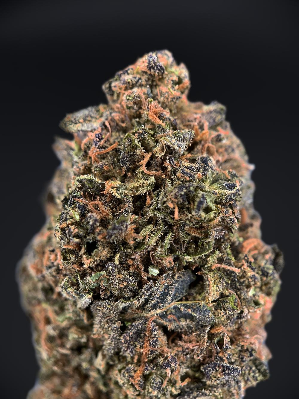 Gaslato strain-district-connect-washington-dc-weed-delivery