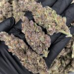 Hawaiian Trainwreck strain-district-connect-washington-dc-weed-delivery