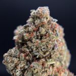 Sherbet Biscotti strain-district-connect-washington-dc-weed-delivery