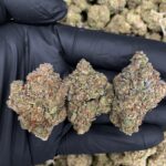 Sherbet Biscotti strain-district-connect-washington-dc-weed-delivery