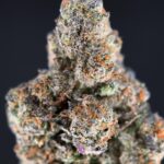 Pineapple Breeze strain-district-connect-washington-dc-weed-delivery