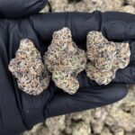 Turbo Lemon Cake -district-connect-washington-dc-weed-delivery