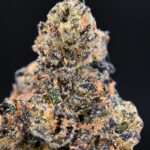 Turbo Lemon Cake -district-connect-washington-dc-weed-delivery