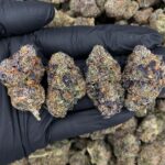 Candy Pop -district-connect-washington-dc-weed-delivery