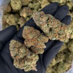 RS-11 strain-district-connect-washington-dc-weed-delivery