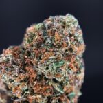RS-11 strain-district-connect-washington-dc-weed-delivery