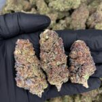 Super Boof strain-district-connect-washington-dc-weed-delivery