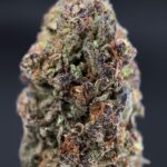 Super Boof strain-district-connect-washington-dc-weed-delivery