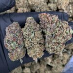 Rainbow ICC strain-district-connect-washington-dc-weed-delivery