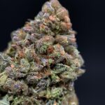 Rainbow ICC strain-district-connect-washington-dc-weed-delivery