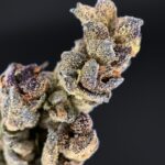 Tropicanna strain-district-connect-washington-dc-weed-delivery