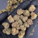 Cherry Lime Haze -district-connect-washington-dc-weed-delivery