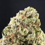 Bubblegum Runtz -district-connect-washington-dc-weed-delivery