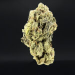 Bubblegum Runtz -district-connect-washington-dc-weed-delivery