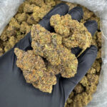 Pink Champagne -district-connect-washington-dc-weed-delivery