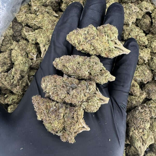 Grape Gasser indica hybrid cannabis flower available from District Connect Virginia weed delivery service