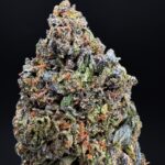 Banana Pancake hybrid cannabis strain with 20-26% THC for Washington DC, Virginia, Maryland, and Richmond VA weed delivery