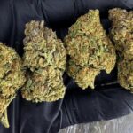 Banana Pancake hybrid cannabis strain with 20-26% THC for Washington DC, Virginia, Maryland, and Richmond VA weed delivery