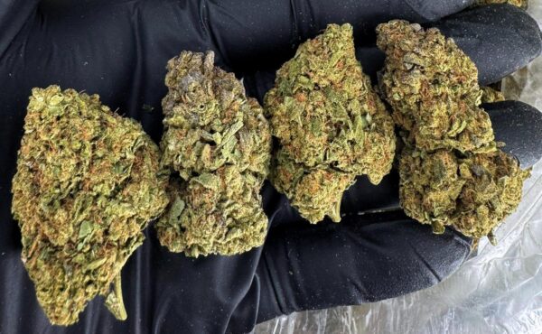 Banana Pancake hybrid cannabis strain with 20-26% THC for Washington DC, Virginia, Maryland, and Richmond VA weed delivery
