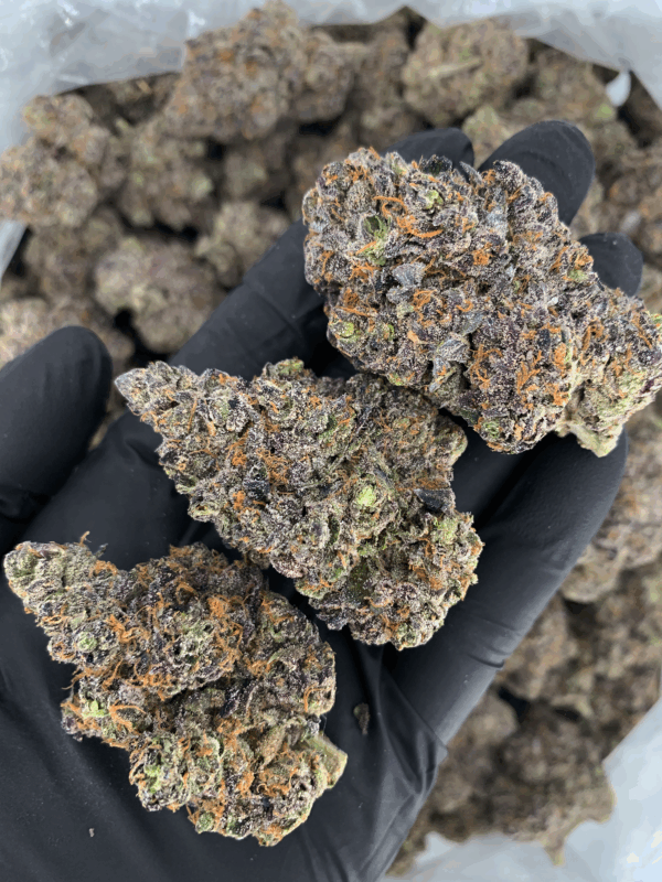 Benanimals indica hybrid cannabis flower with berry cookie aroma from District Connect Washington DC weed delivery