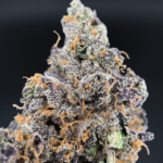 Benanimals indica hybrid cannabis flower with berry cookie aroma from District Connect Washington DC weed delivery