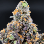 Benanimals indica hybrid cannabis flower with berry cookie aroma from District Connect Washington DC weed delivery