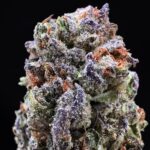 Black Gorilla hybrid cannabis strain with 25-29% THC for Washington DC, Virginia, Maryland, and Richmond VA weed delivery