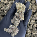G47 -district-connect-washington-dc-weed-delivery