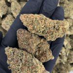 Grape Gasser indica hybrid cannabis flower available from District Connect Virginia weed delivery service