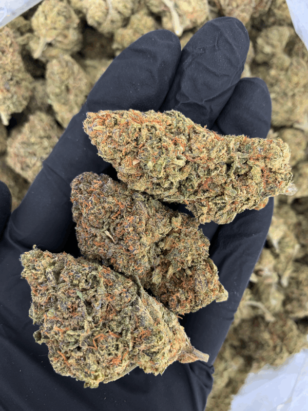 Grape Gasser indica hybrid cannabis flower available from District Connect Virginia weed delivery service