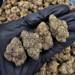 Pink Zoap -district-connect-washington-dc-weed-delivery