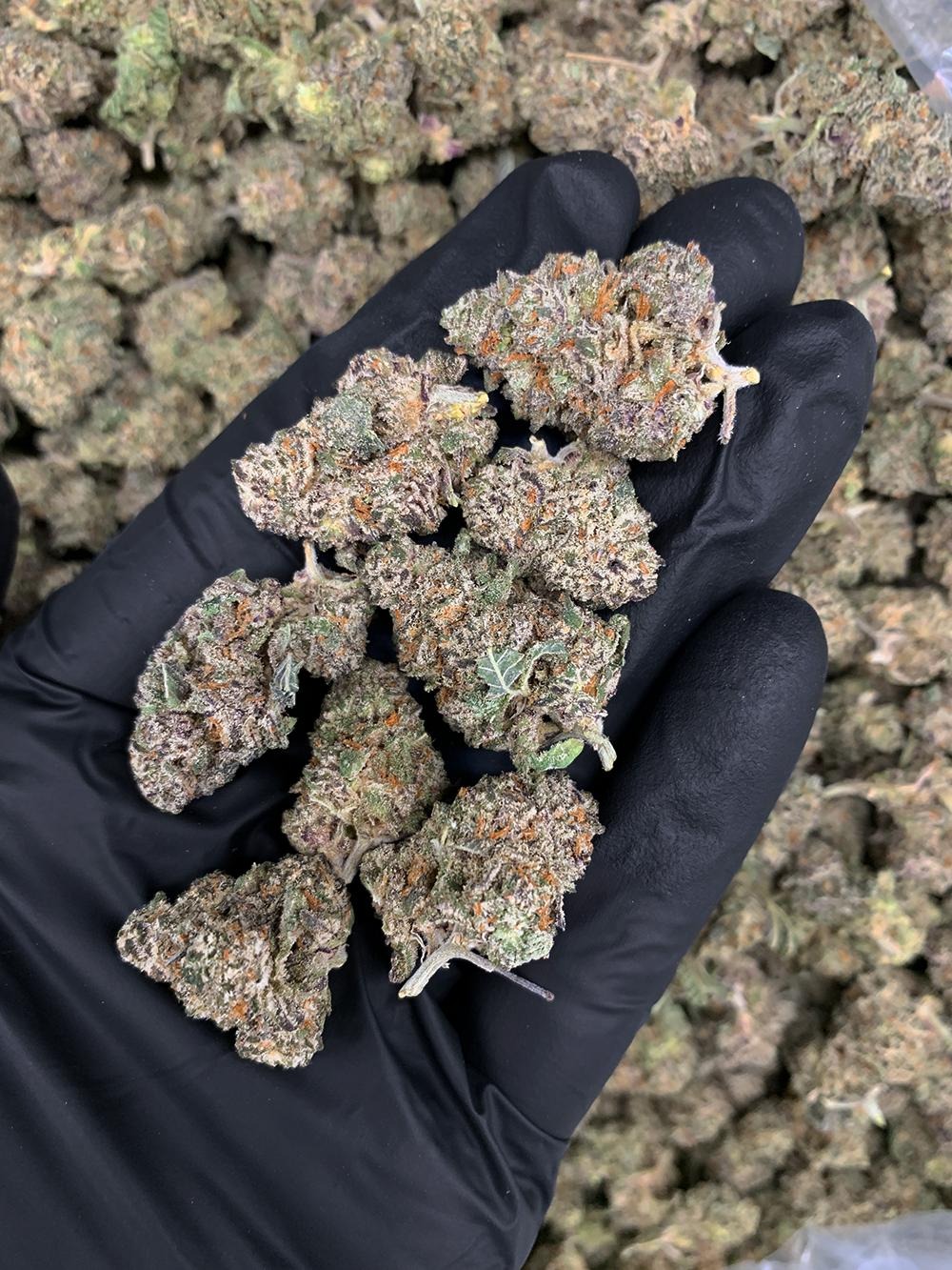 Pure Michigan -district-connect-washington-dc-weed-delivery