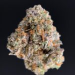 Pure Michigan -district-connect-washington-dc-weed-delivery