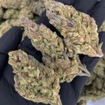 Strawberry Jack sativa hybrid cannabis flower from District Connect Washington DC weed delivery